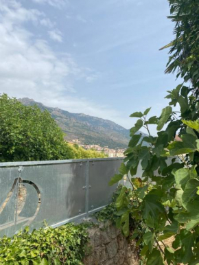 Maison à Corte (Centre Corse) avec piscine et jardin, Corte